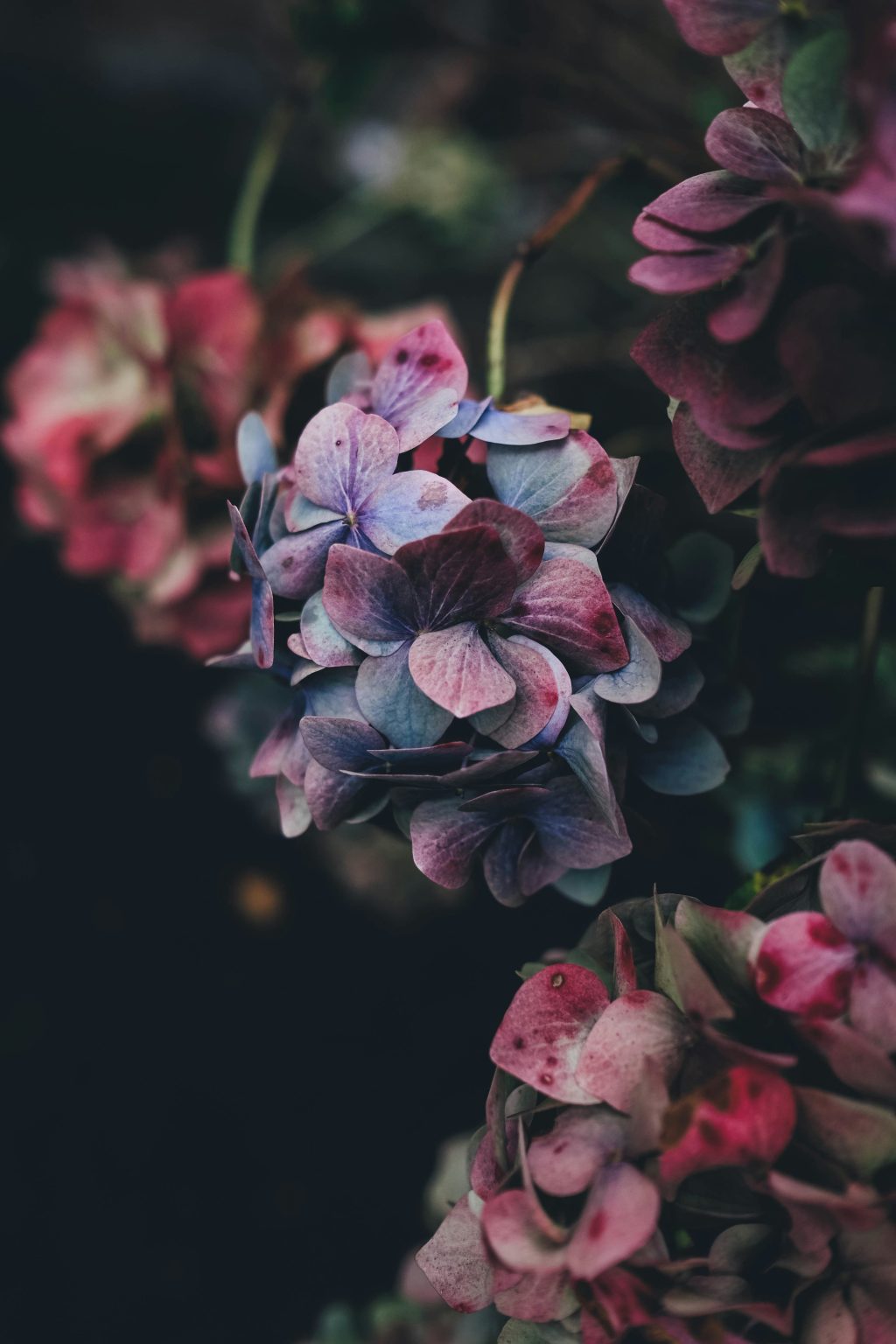 Ricardo Lopez Death & Obituary: A Tragic Obsession and the Importance of Mental Health Awareness