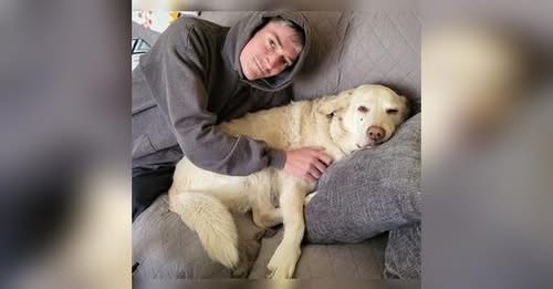 Michael Tighe Death & Obituary: Beloved Son, Brother, and Friend Passes Away at 35