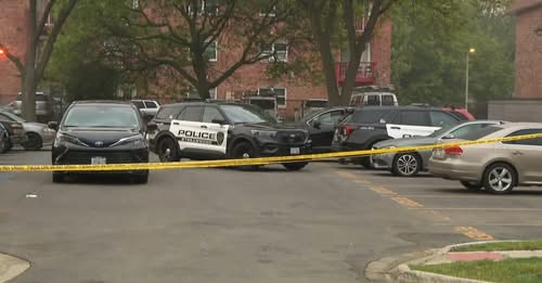 Serious Criminal Incident in Cook County: Investigation Underway Following Fatality