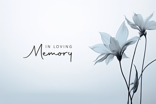 Dr. Robert Duffy Death & Obituary: A Life of Service, Compassion, and Medical Excellence